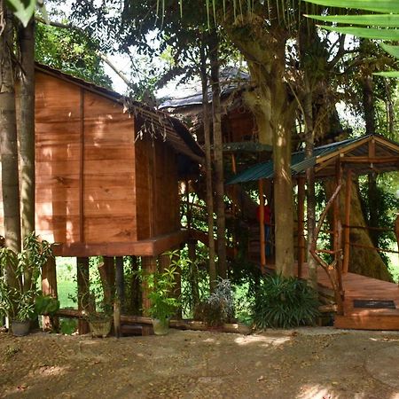 Kumbuk Tree House Tissamaharama Exterior foto