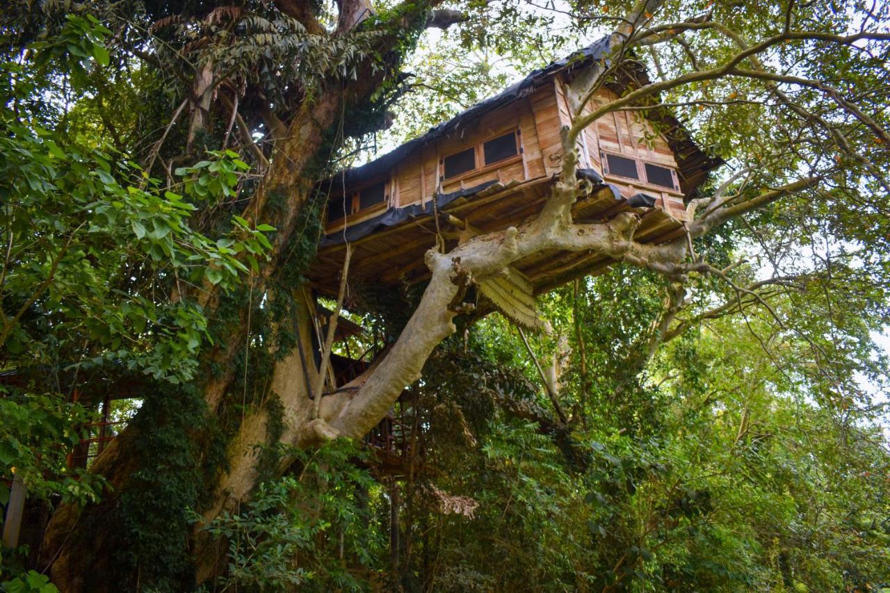 Kumbuk Tree House Tissamaharama Exterior foto