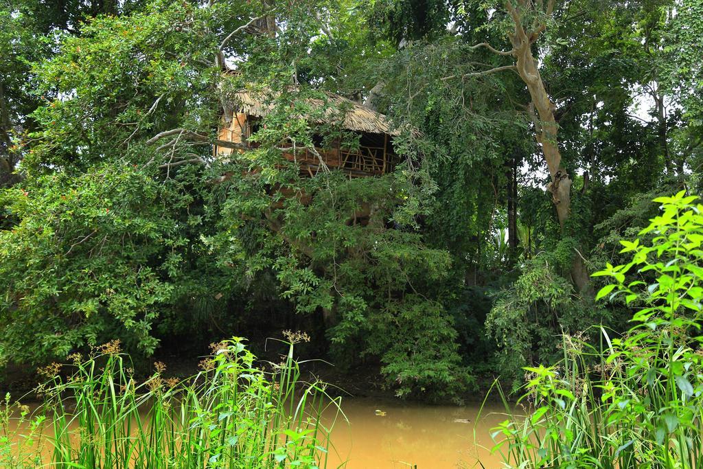 Kumbuk Tree House Tissamaharama Exterior foto