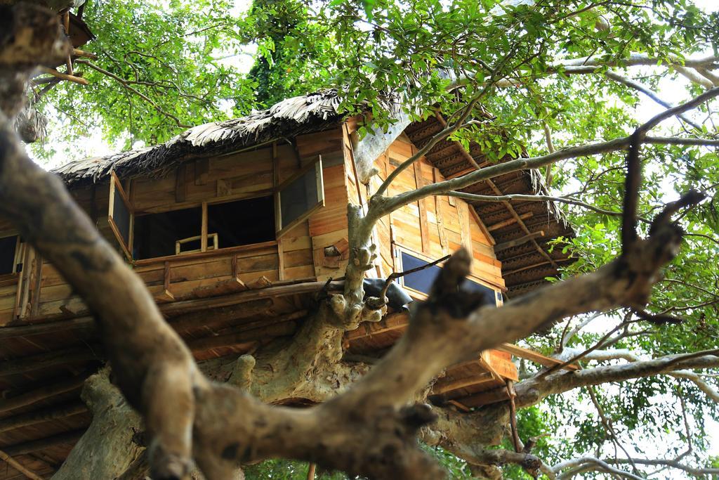 Kumbuk Tree House Tissamaharama Exterior foto