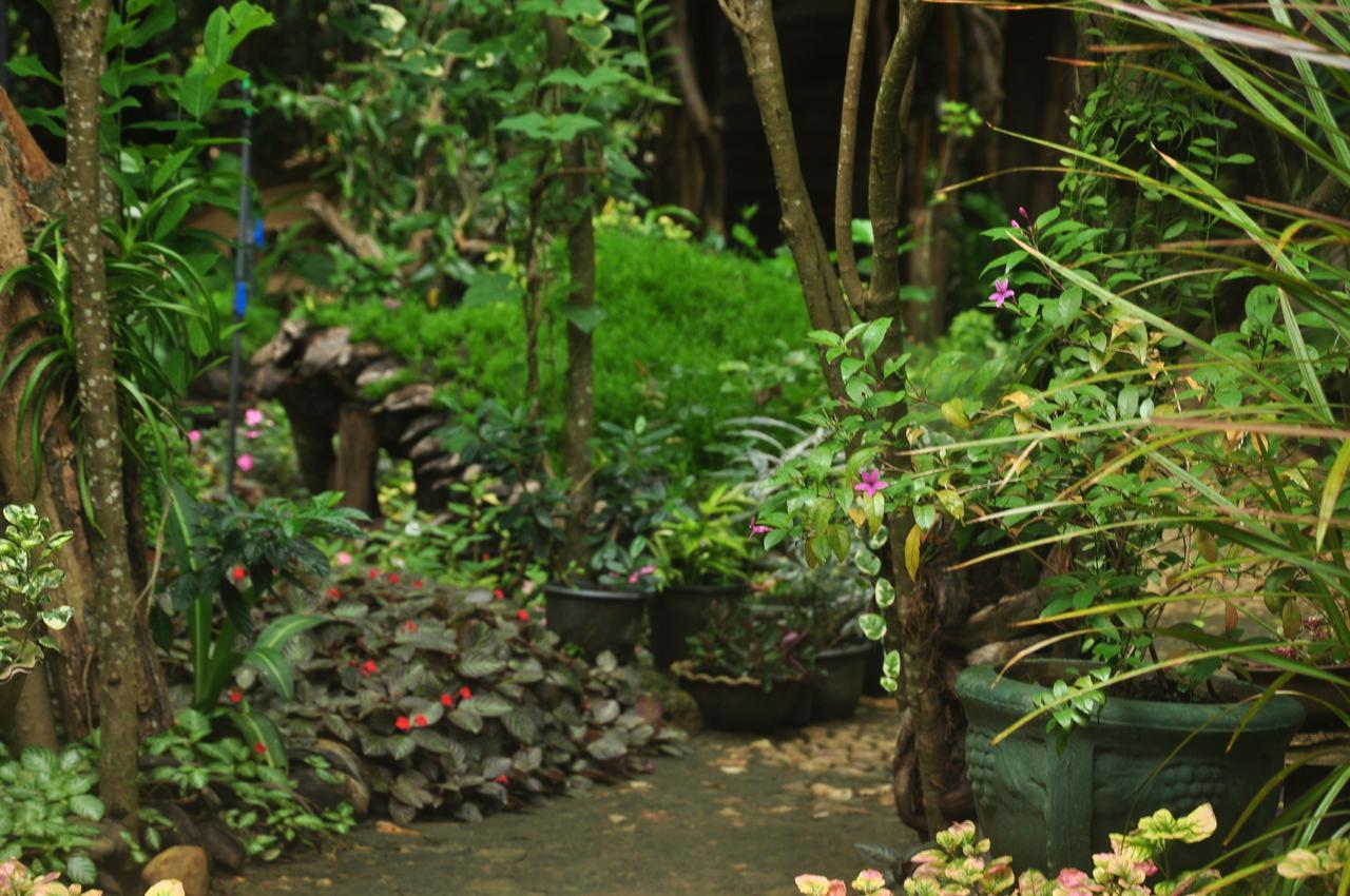 Kumbuk Tree House Tissamaharama Exterior foto
