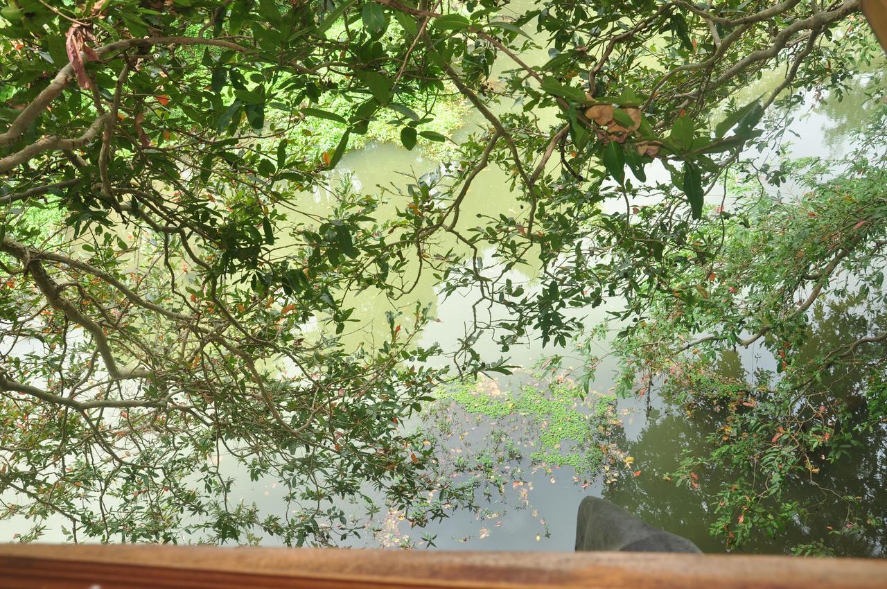 Kumbuk Tree House Tissamaharama Exterior foto