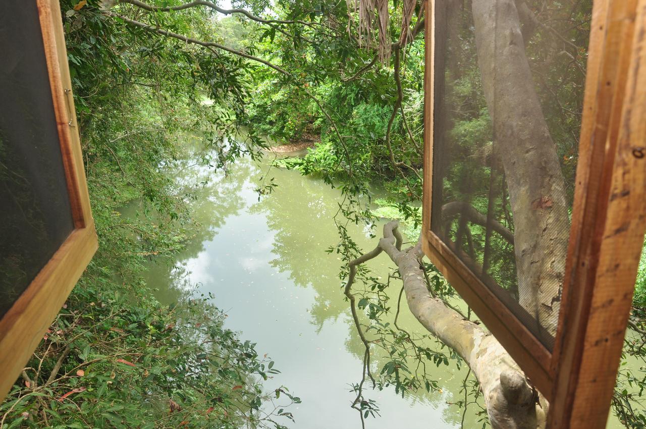Kumbuk Tree House Tissamaharama Exterior foto