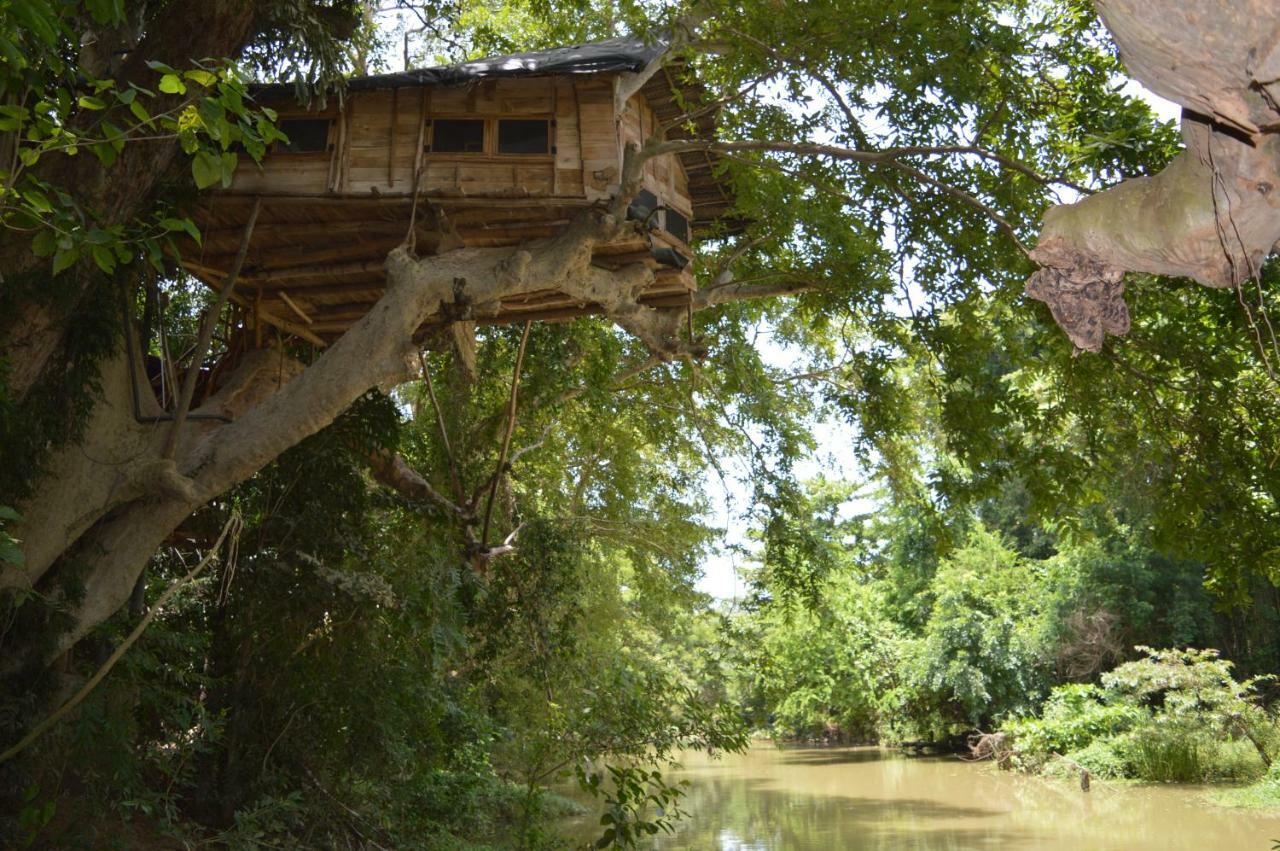 Kumbuk Tree House Tissamaharama Exterior foto