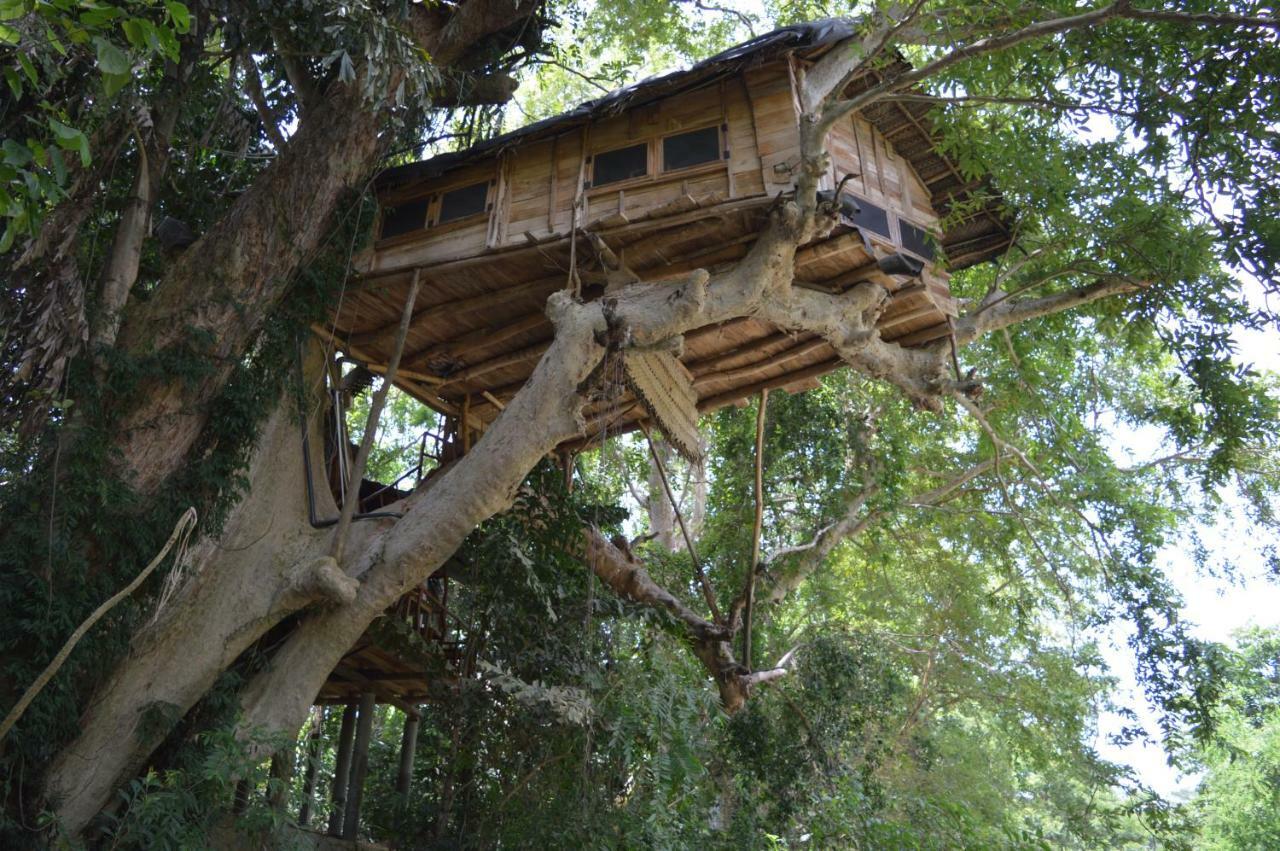 Kumbuk Tree House Tissamaharama Exterior foto